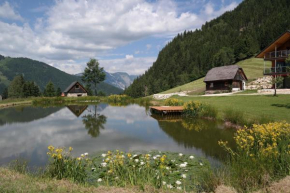 Ferienhaus Oppenauer, Großsölk, Österreich